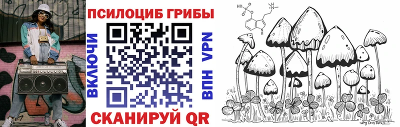 продажа наркотиков  Щёкино  Псилоцибиновые грибы Psilocybe 